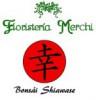 Floristera Merchi - Bonsi Shiawase