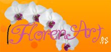 floristeria-en-valencia-flor-art.jpg